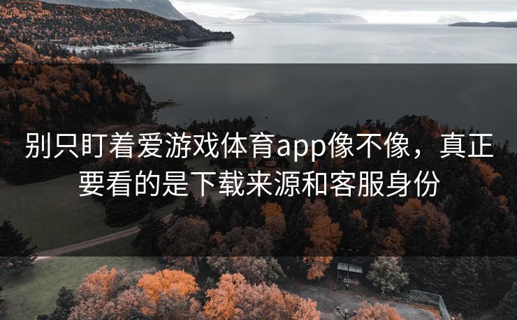 别只盯着爱游戏体育app像不像，真正要看的是下载来源和客服身份