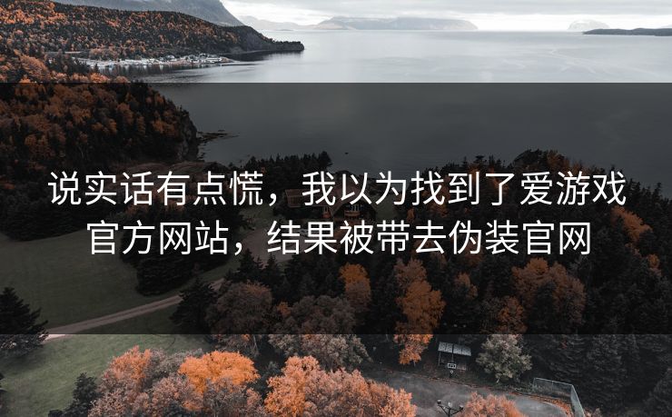 说实话有点慌，我以为找到了爱游戏官方网站，结果被带去伪装官网
