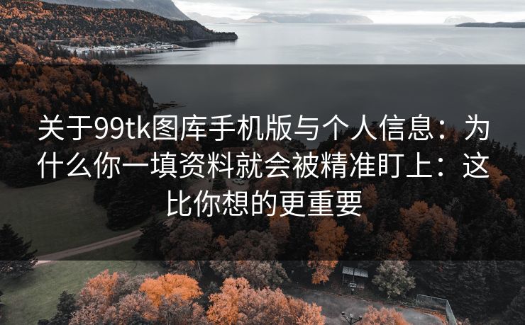 关于99tk图库手机版与个人信息：为什么你一填资料就会被精准盯上：这比你想的更重要