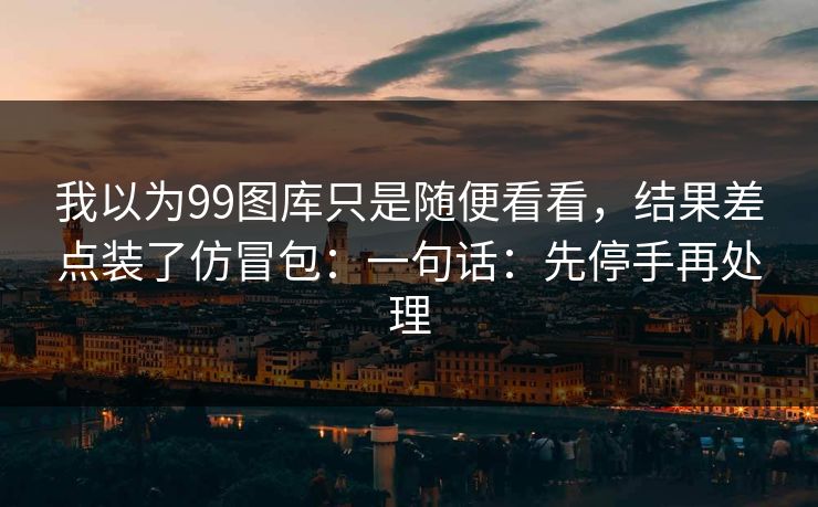 我以为99图库只是随便看看，结果差点装了仿冒包：一句话：先停手再处理